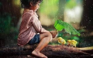 cute child save Little cute chicken wallpaper for phone