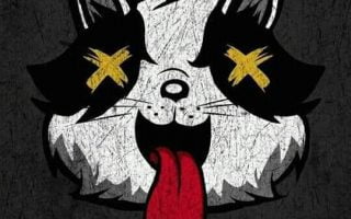 fnnu cat wallpaper gris