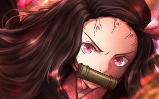 HD wallpaper Anime Demon Slayer Kimetsu no Yaiba Boy Nezuko Kamado