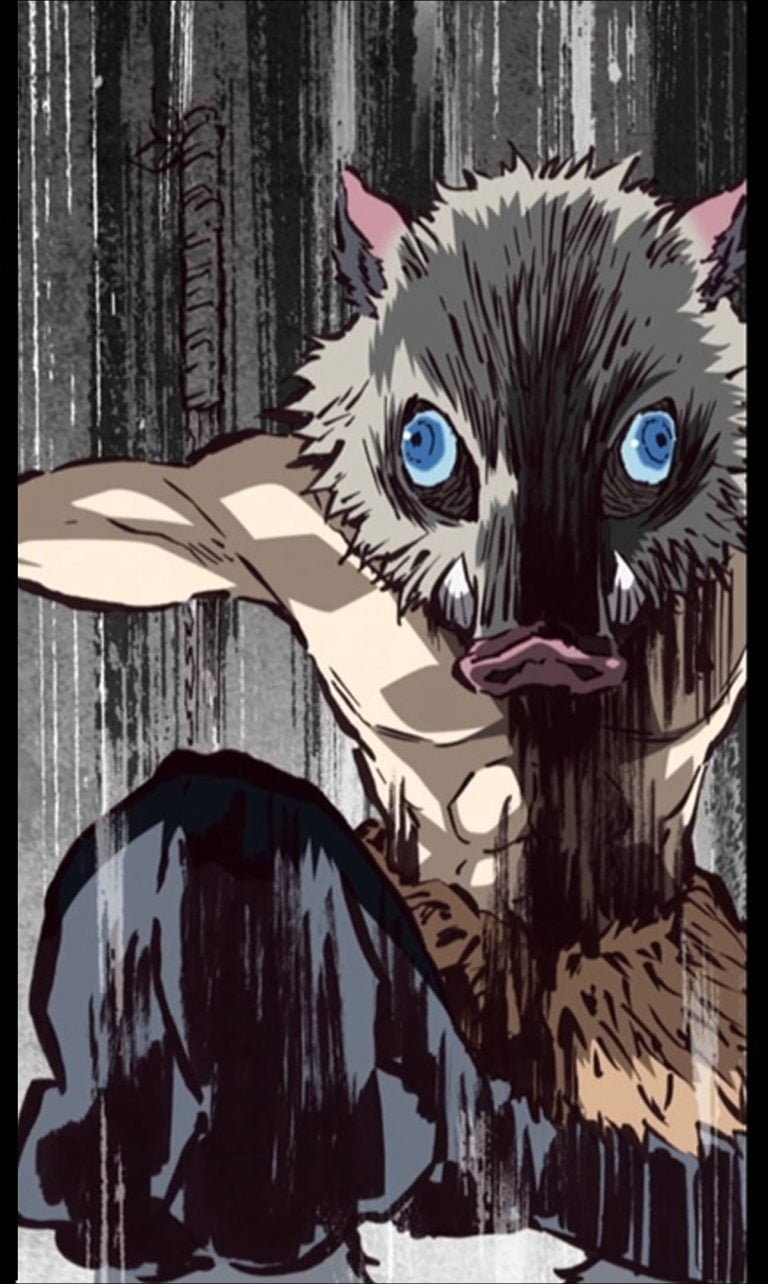 HD wallpaper Anime Demon Slayer Kimetsu no Yaiba Inosuke Hashibira