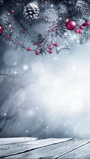HD wallpaper christmas decoration winter wood bokeh tree plant cold temperature christmas cards