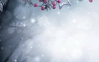HD wallpaper christmas decoration winter wood bokeh tree plant cold temperature christmas cards
