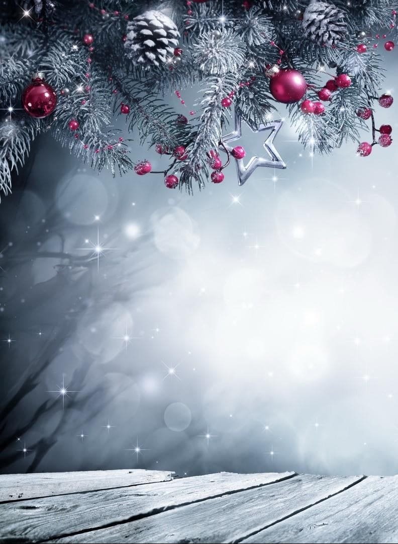 HD wallpaper christmas decoration winter wood bokeh tree plant cold temperature christmas cards