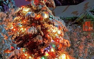 HD wallpaper snow christmas day christmas eve snowy night christmas lights christmas cards