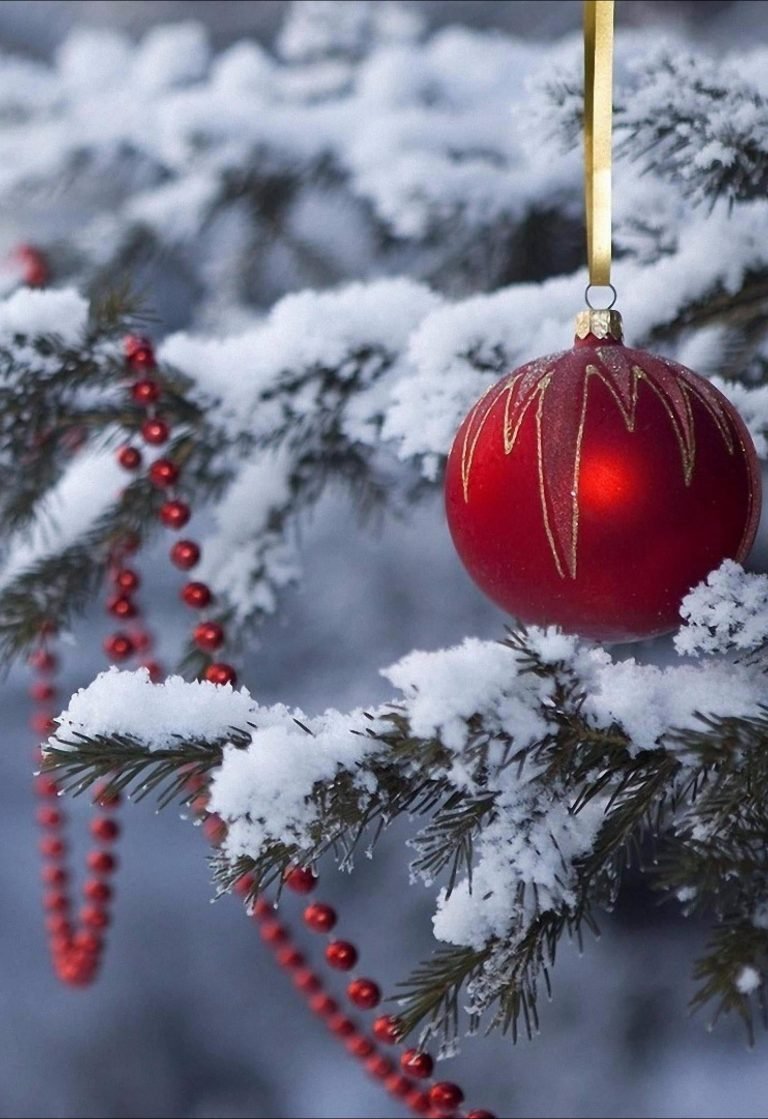 HD wallpaper snow christmas tree snowy winter branch freezing frost christmas cards