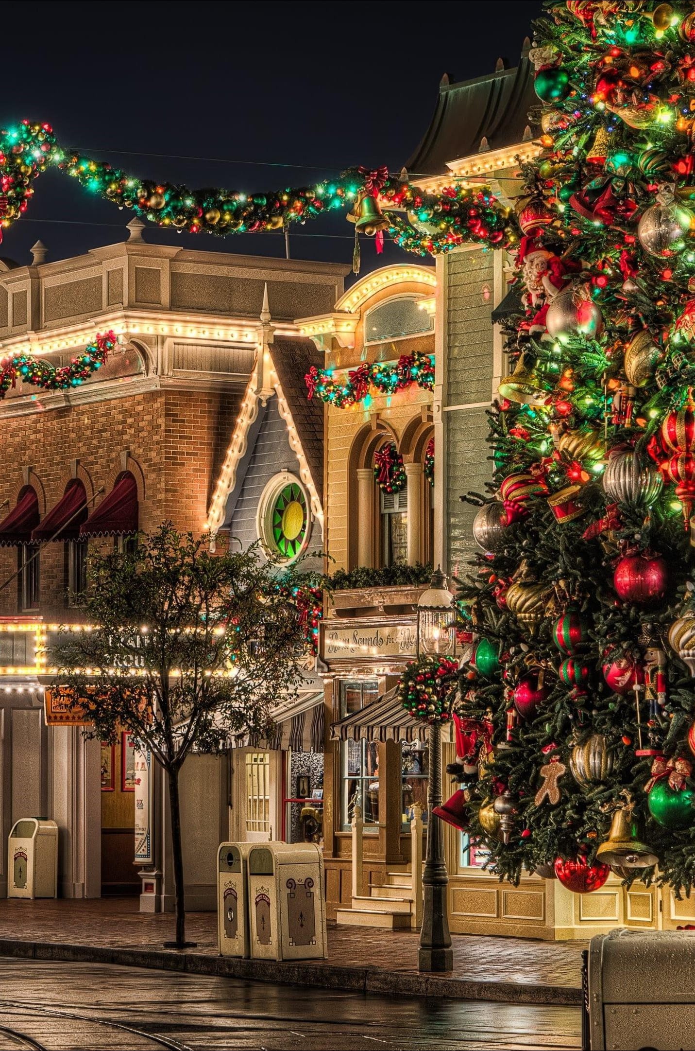 HD wallpaper tree disneyland evening downtown tourist attraction france christmas tree