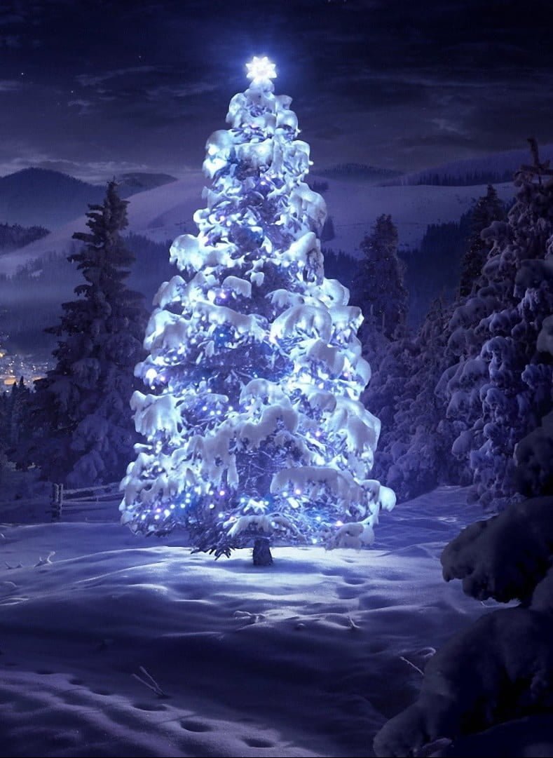 HD wallpaper white lighted tree illustration snow covered area with christmas tree