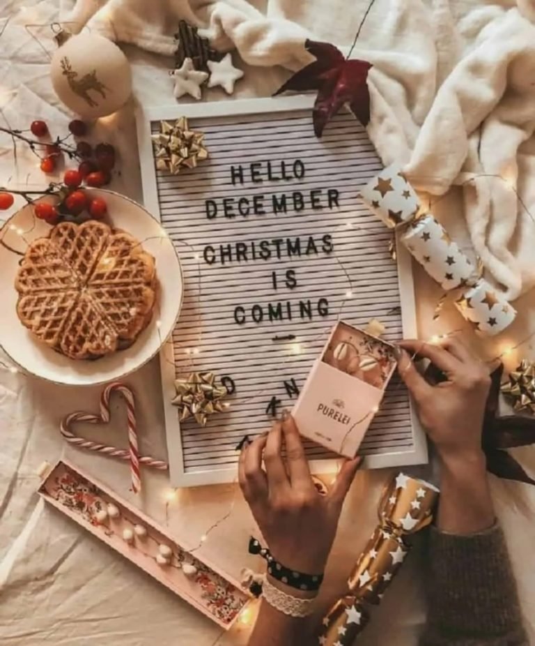 aestetic christmas