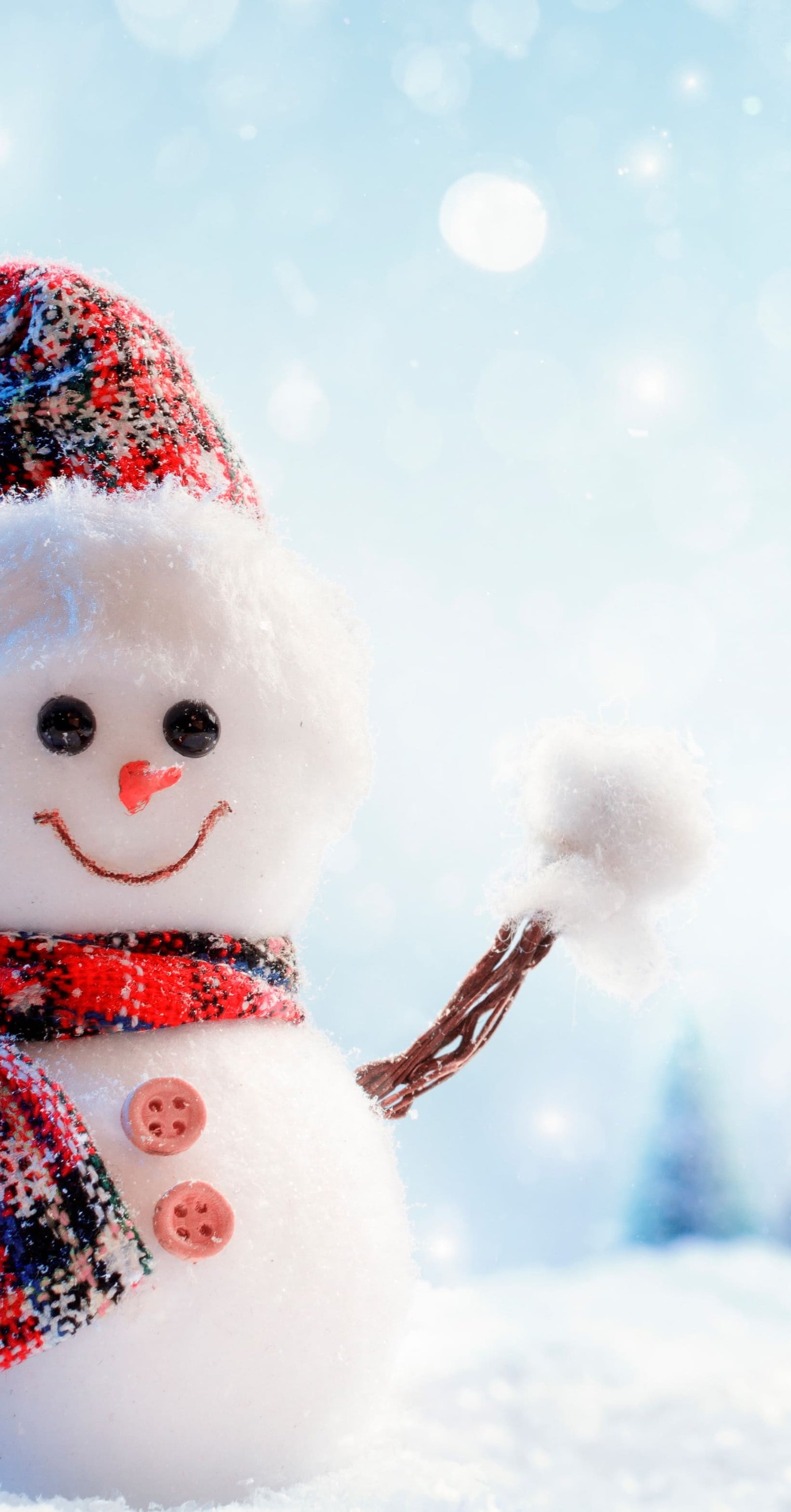 christmas day-white christmas-snow-greet-christmas cards