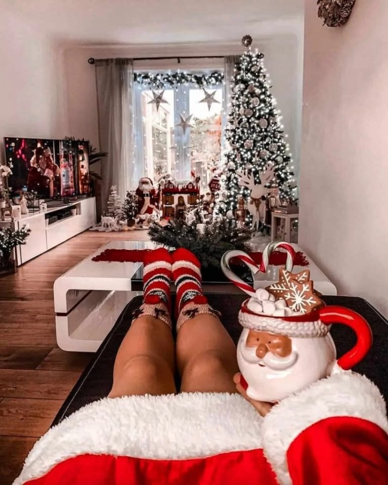 costume christmas home