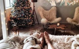costume christmas home r