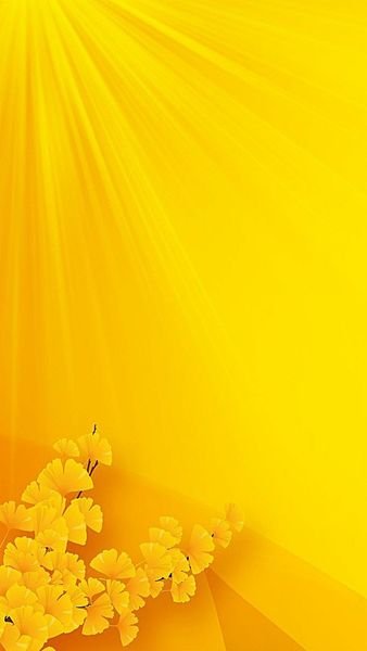 cute yellow flor wallpaper