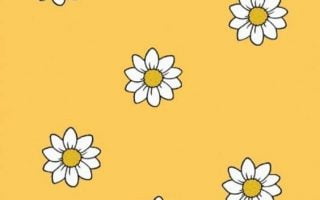 flor in yellow screen wallpapers