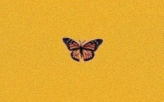 yellow aesthetic screen wallpapers