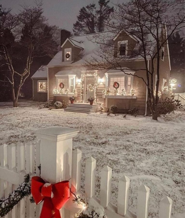 christmas cards 2022 nikksaab