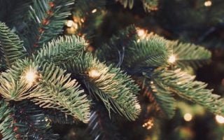 christmas tree by@chrissyshapiro