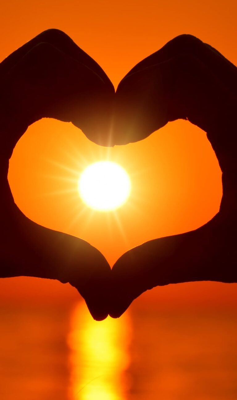 HD wallpaper hand heart form love sunset romantic hands human hand heart shape  scaled