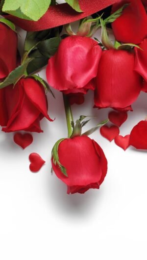 HD wallpaper red roses hearts love flowers romantic Valentines Day cards scaled