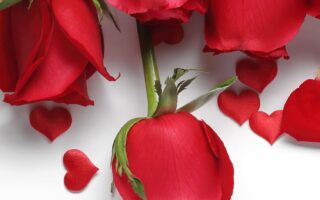 HD wallpaper red roses hearts love flowers romantic Valentines Day cards scaled