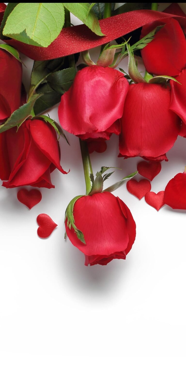 HD wallpaper red roses hearts love flowers romantic Valentines Day cards scaled