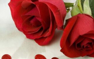 HD wallpaper roses flowers two red heart love Valentines Day cards