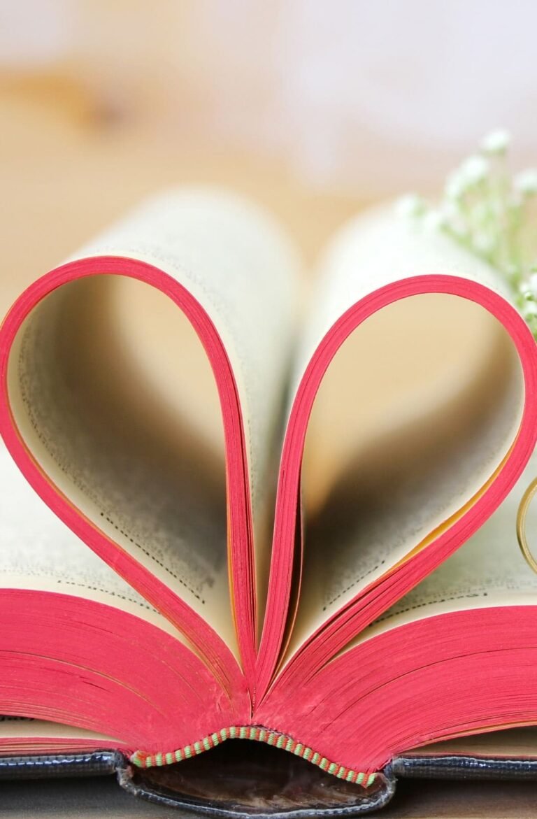 HD wallpaper valentines cards Red flowers roses Valentines Day book love hearts rings 1