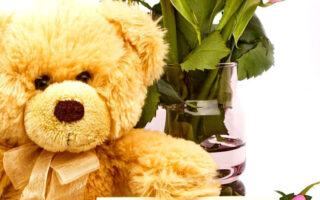 HD wallpaper valentines cards Valentines Day Teddy Bear pink roses i love you