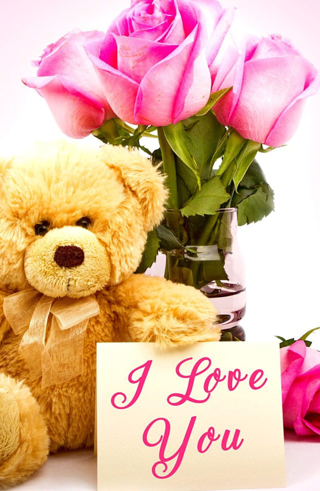 HD wallpaper valentines cards Valentines Day Teddy Bear pink roses i love you