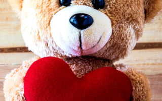 HD wallpaper valentines day phone wallpaperTeddy Love Heart brown bear plush toy stuffed toy teddy bear