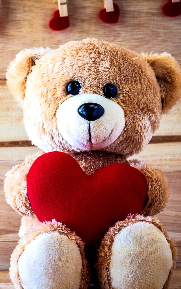 HD wallpaper valentines day phone wallpaperTeddy Love Heart brown bear plush toy stuffed toy teddy bear