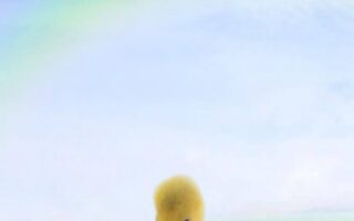 4K Easter Wallpaper iPhone 13 pro Easter background