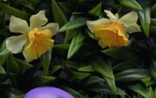 4K Easter Wallpaper iPhone 13 pro max