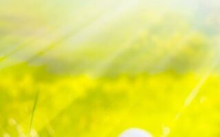 4K Easter Wallpaper iPhone 13 pro max Easter screensavers 3