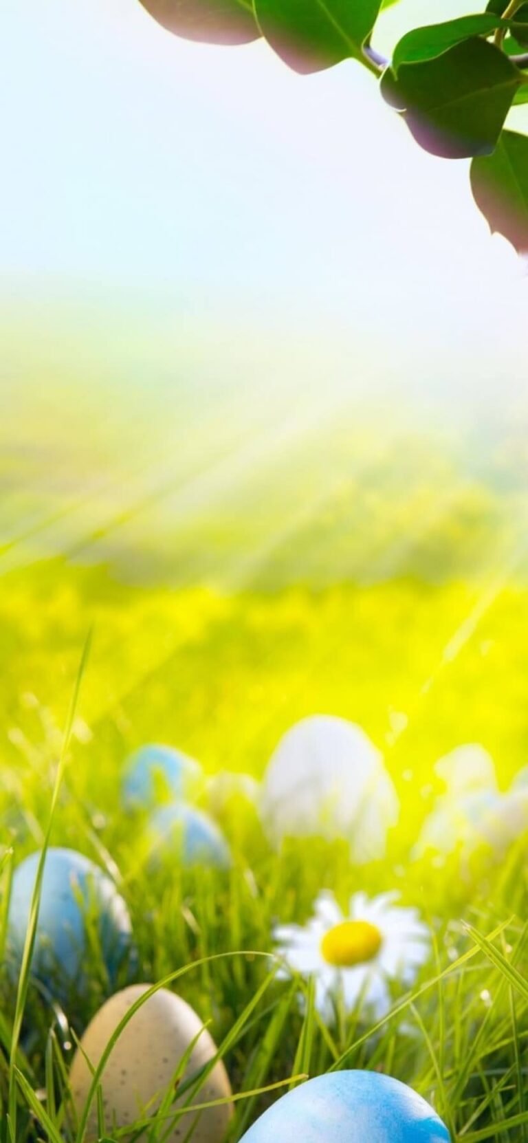 4K Easter Wallpaper iPhone 13 pro max Easter screensavers 3