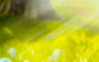 4K Easter Wallpaper iPhone 13 pro max Easter screensavers 4