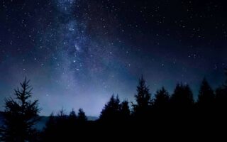4K iPhone 13 Wallpaper Amoled Trees Starry Sky scaled