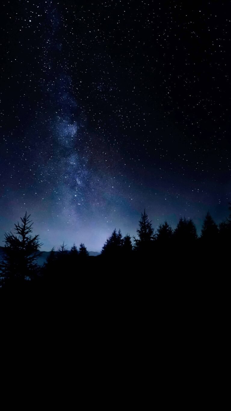4K iPhone 13 Wallpaper Amoled Trees Starry Sky scaled
