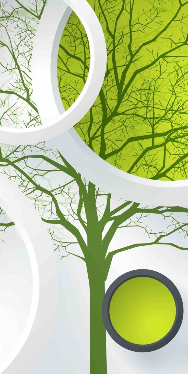 4K wallpaper Birds Design 4K Green 8K Circles still life indoors iphone 13 wallpaper scaled