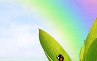 Awesome 4K Easter Wallpaper iPhone 13 pro max
