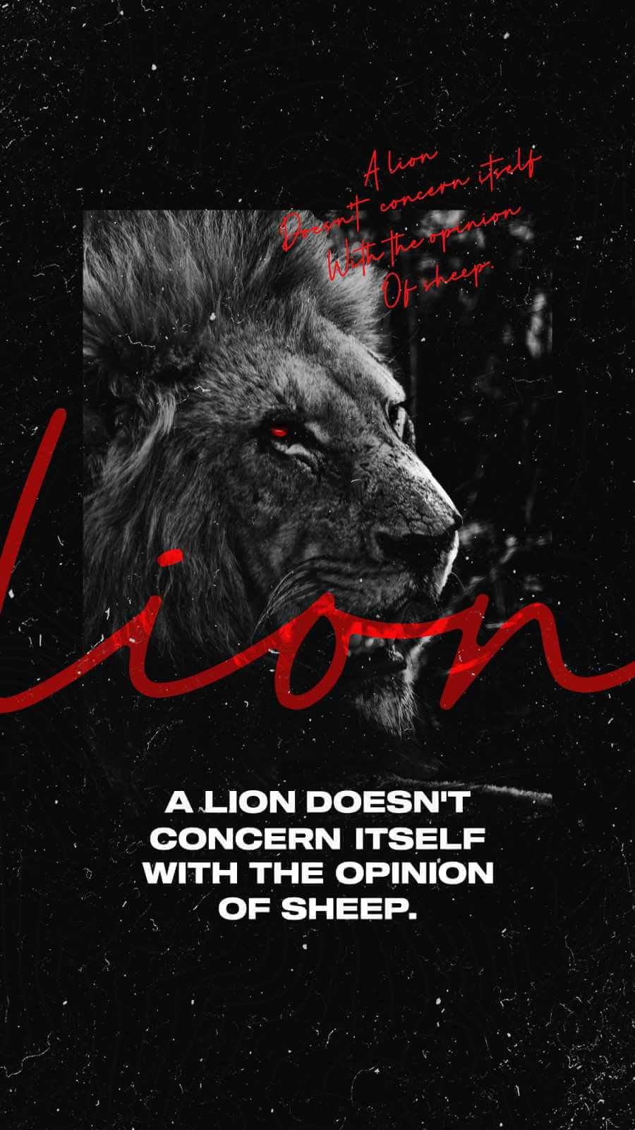 Awesome HD Quote Lion Quote iPhone Wallpaper