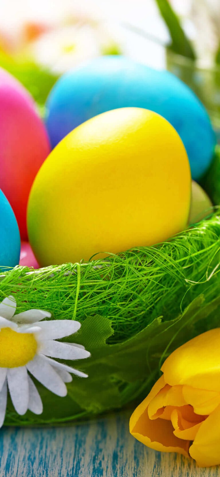 Best Cute Easter Wallpaper for iPhone 13 Easter background