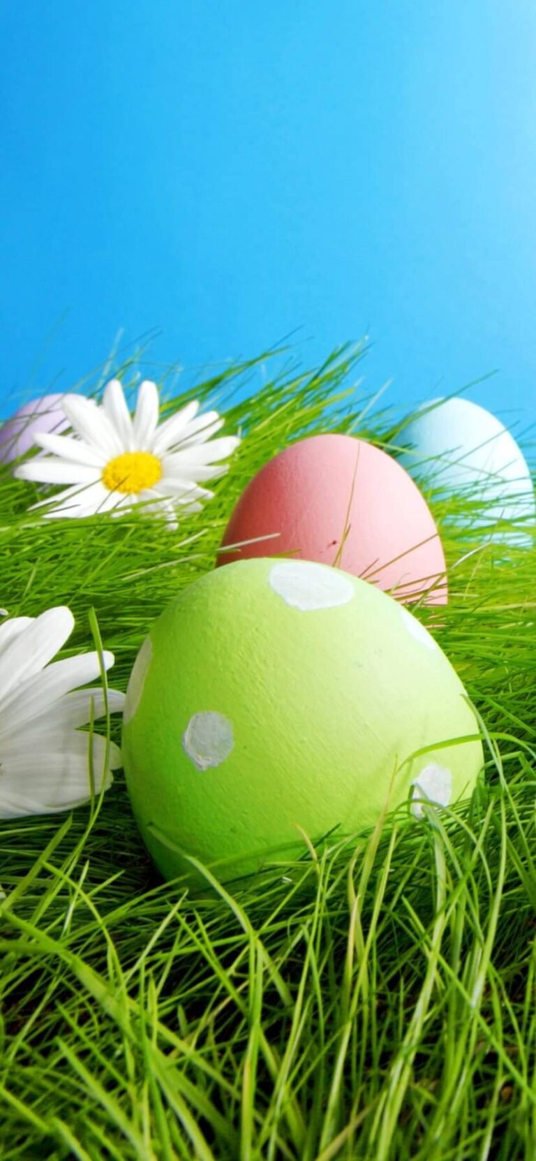 Cool Free Easter Wallpaper for android Easter backgrounds