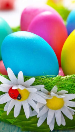 Cute Easter Wallpaper for iPhone 13 Easter background 10
