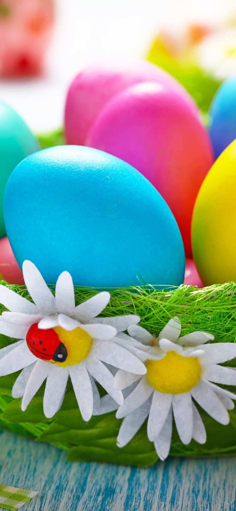 Cute Easter Wallpaper for iPhone 13 Easter background 10