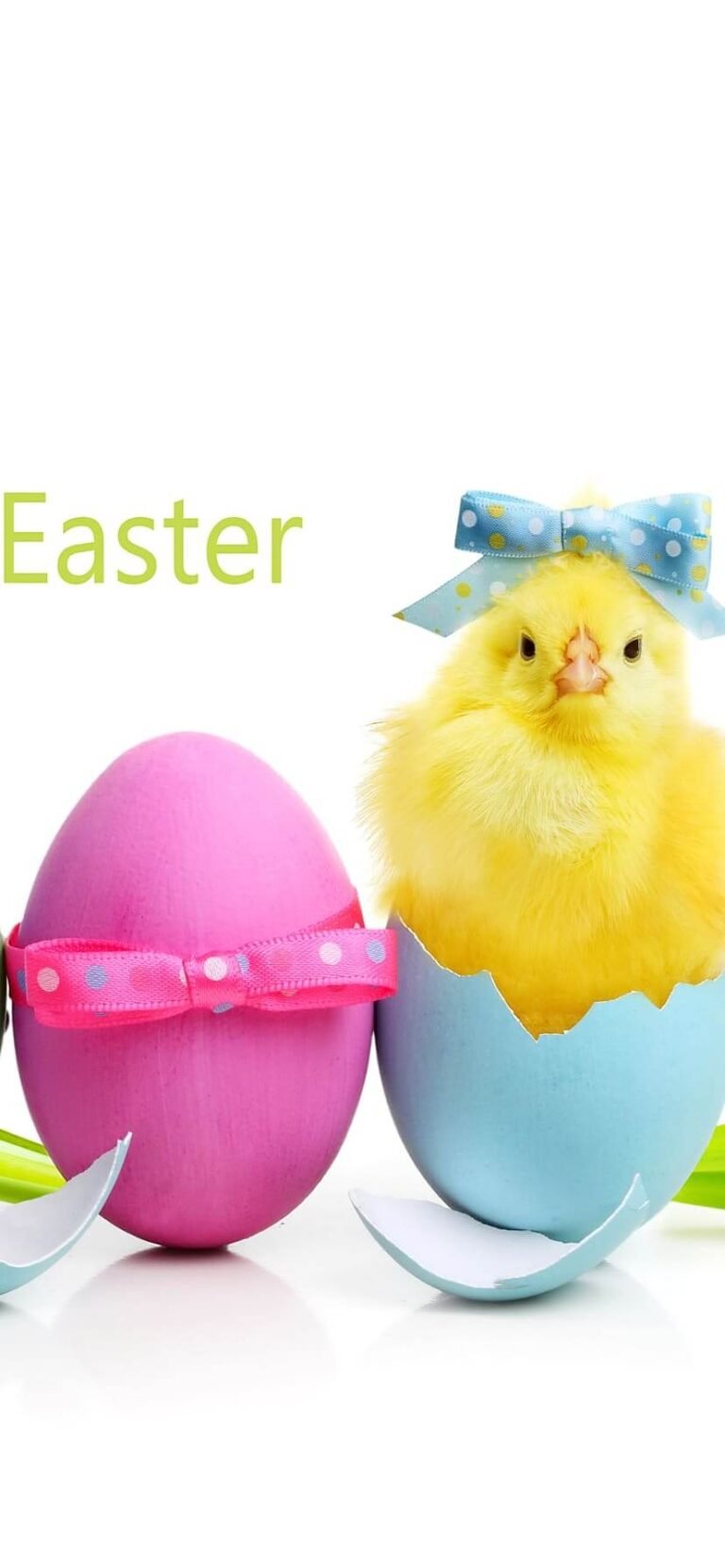 Cute Easter Wallpaper for iPhone 13 Easter background 8