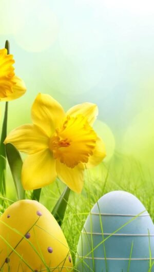 Cute Easter Wallpaper for iPhone 13 Easter background 9