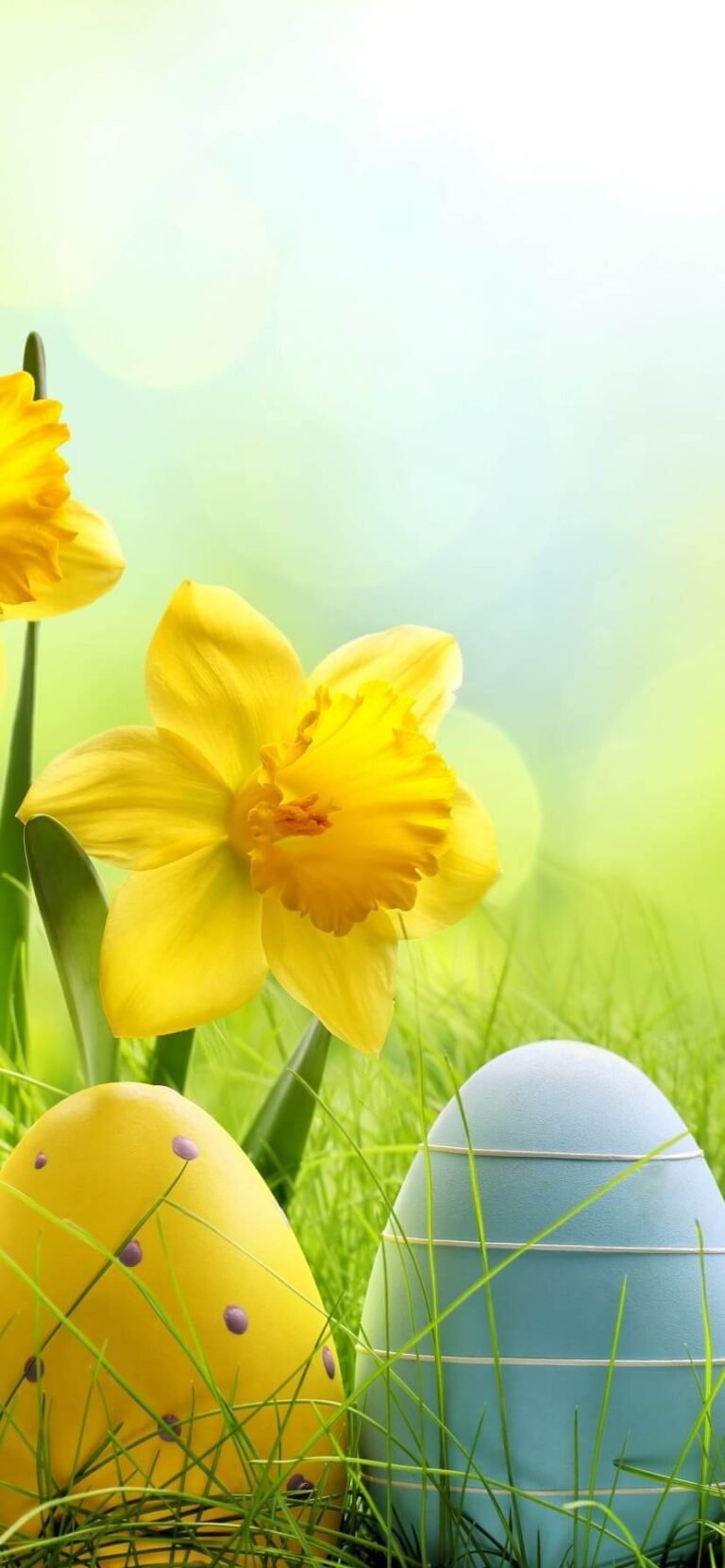 Cute Easter Wallpaper for iPhone 13 Easter background 9