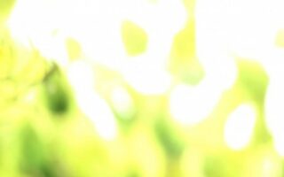 Cute Easter Wallpaper for iPhone 13 Easter screensavers 4