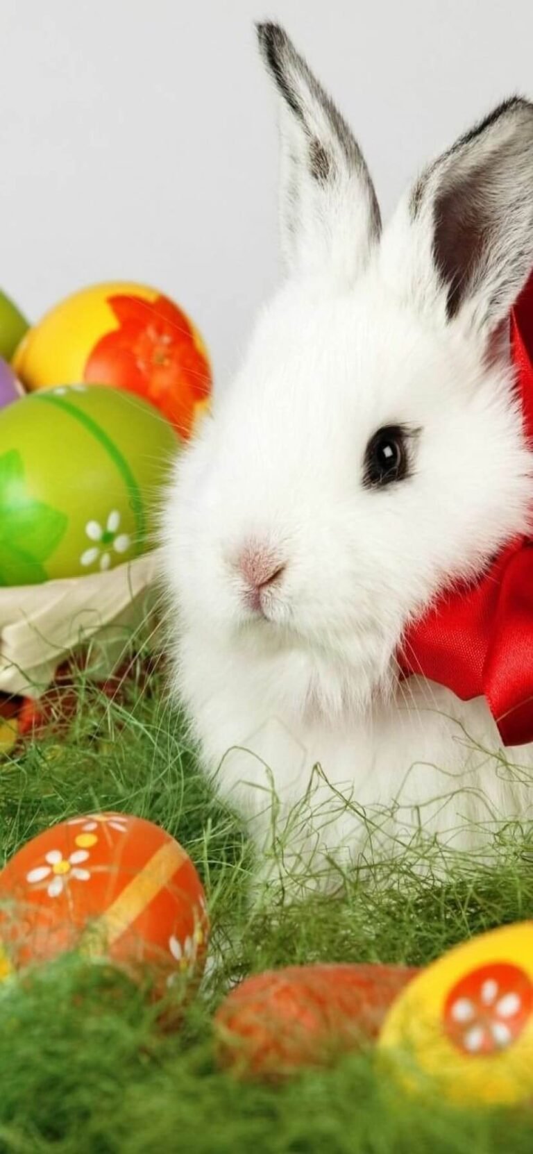 Cute Easter Wallpaper for iPhone 13 Easter screensavers 8