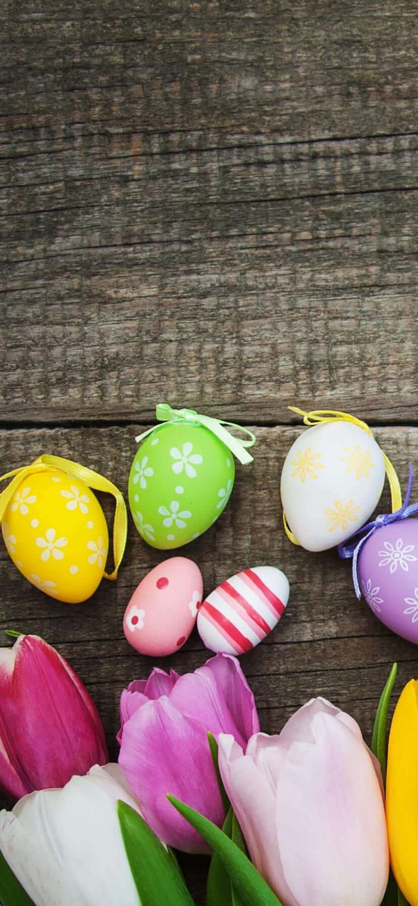 Free Easter Wallpaper for android Easter background 1